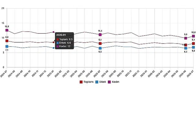 İşgücü İstatistikleri, Temmuz 2026