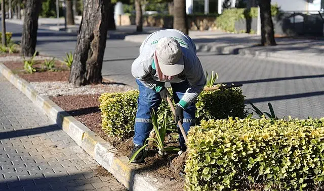 Burhaniye’de Park ve Yeşil Alanlarda Bakım Çalışmaları Sürüyor