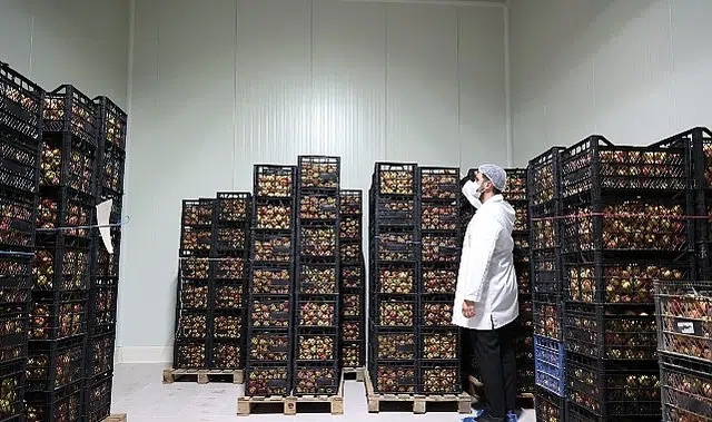 Büyükşehir’den Antalya’nın yerel üretimine can suyu olacak tesis