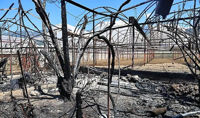 Büyükşehir Kaş’ta yangınzedelerin yanında