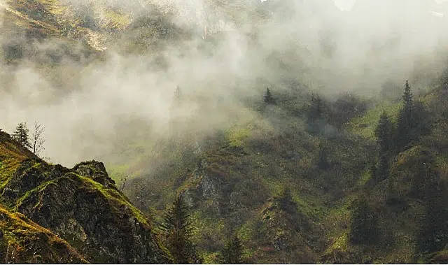 4 Bölümden Oluşan ‘Vahşi Karpatlar’,   26 Eylül Cumartesi Saat 20.00’de Art Arda Tüm Bölümleriyle National Geographic WILD Ekranlarında!