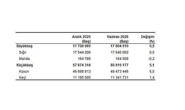 Hayvancılık İstatistikleri, Haziran 2026