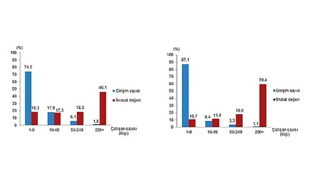 Girişim Özelliklerine Göre Dış Ticaret İstatistikleri, 2025