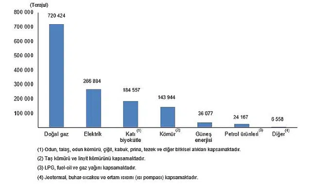 Hanehalkı Nihai Enerji Tüketim İstatistikleri, 2025 Bugün 12.46