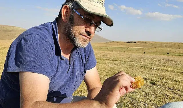 Kafkas Arısı için alarm zilleri çalıyor